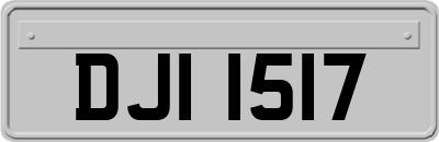 DJI1517