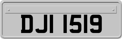 DJI1519