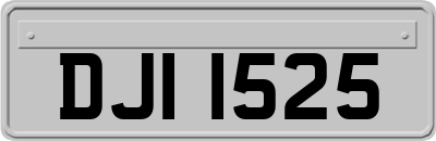 DJI1525