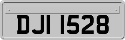 DJI1528