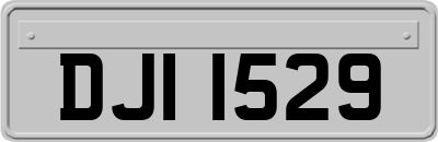 DJI1529