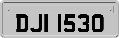DJI1530