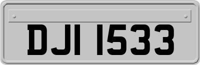 DJI1533