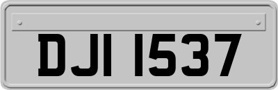 DJI1537