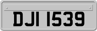 DJI1539