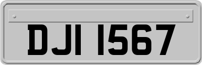 DJI1567