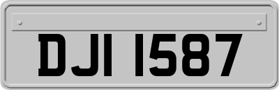DJI1587
