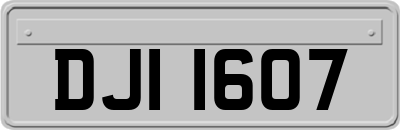 DJI1607