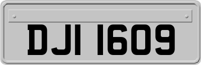 DJI1609