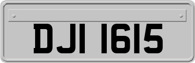 DJI1615