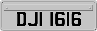 DJI1616