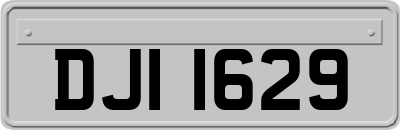 DJI1629