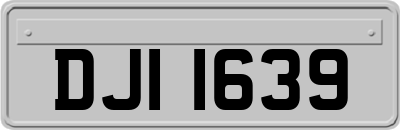 DJI1639