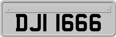 DJI1666