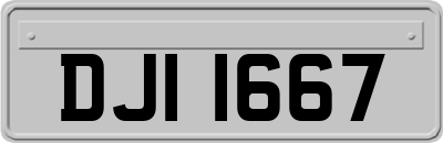DJI1667