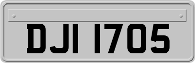 DJI1705