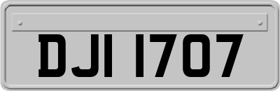 DJI1707