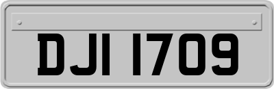 DJI1709