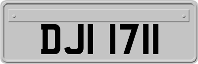 DJI1711