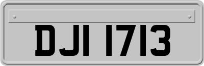 DJI1713