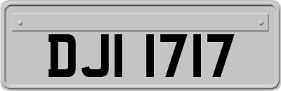 DJI1717