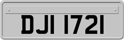 DJI1721