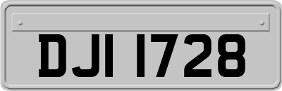 DJI1728