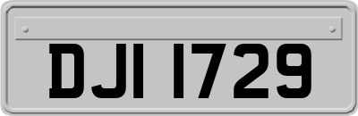 DJI1729