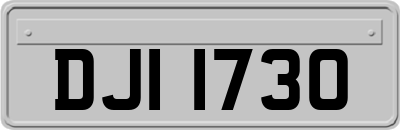 DJI1730