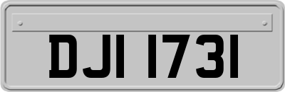 DJI1731