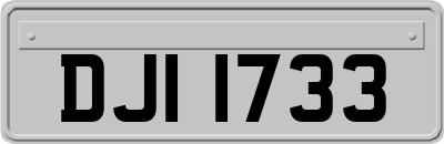 DJI1733