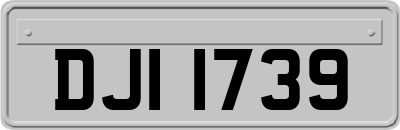 DJI1739
