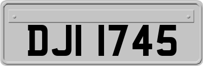 DJI1745