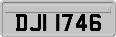 DJI1746
