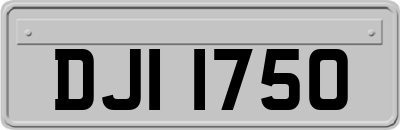 DJI1750