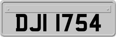 DJI1754