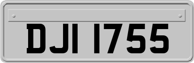DJI1755