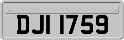 DJI1759