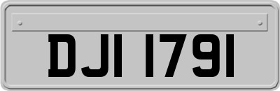DJI1791