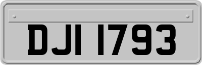 DJI1793