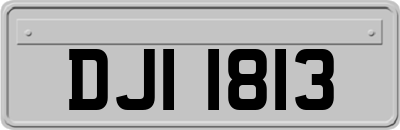 DJI1813