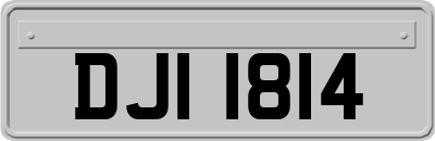 DJI1814