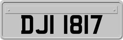 DJI1817