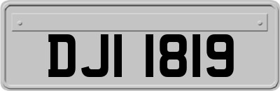 DJI1819