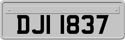 DJI1837