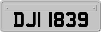 DJI1839