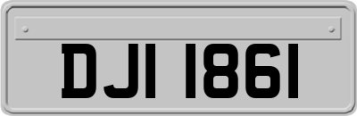 DJI1861