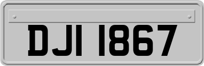 DJI1867