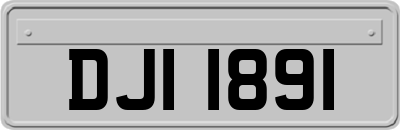 DJI1891