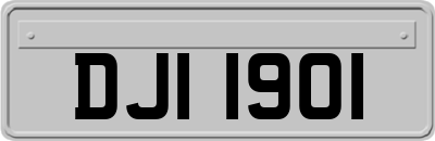 DJI1901
